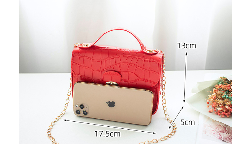 Women Small Crossbody Bag Classic Pattern Shoulder Handbags Lightweight Chain Strap Messenger Purse