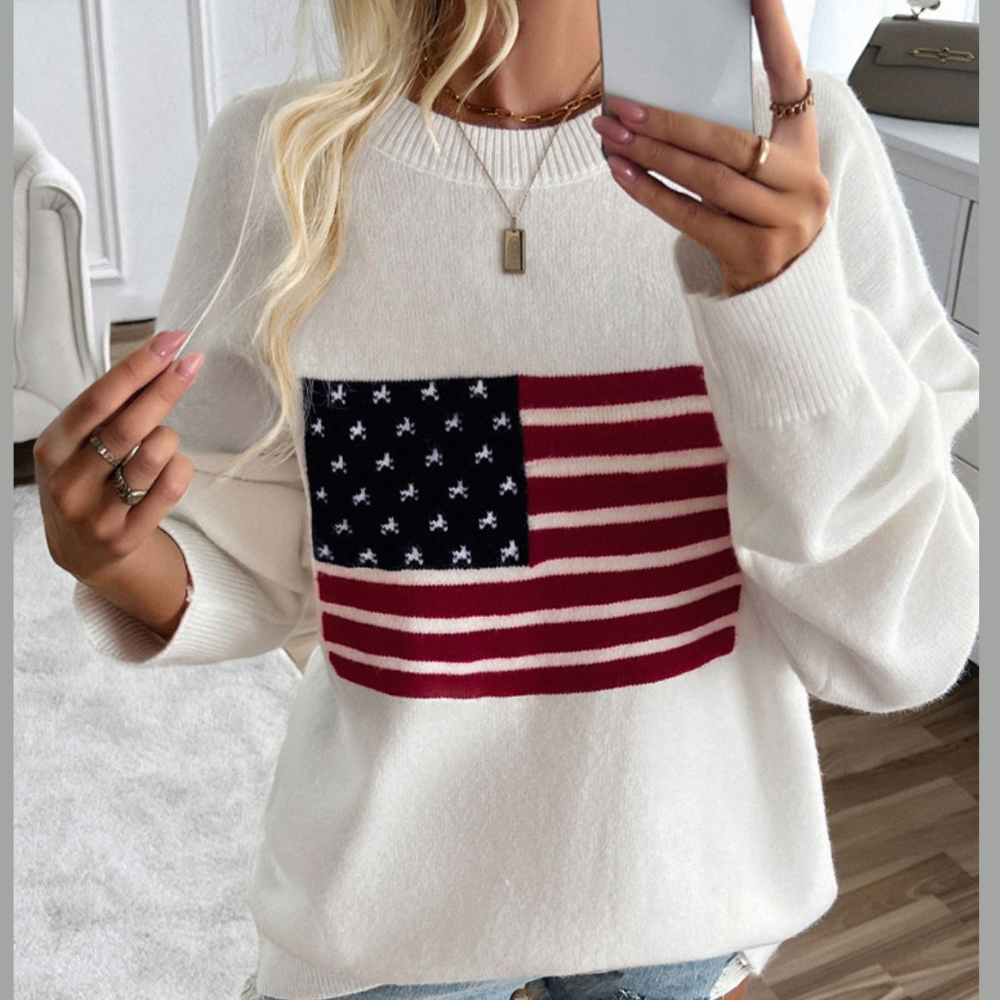 Devine US Flag Round Neck Long Sleeve Knit Top