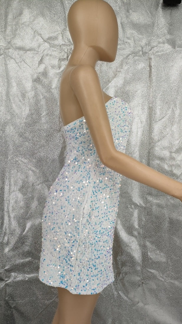 Women's Fashion Sexy Tube Top Hip Skirt