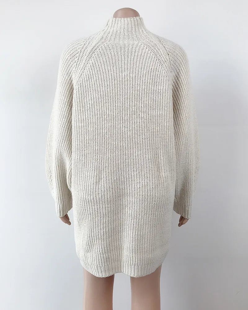 Solid Turtleneck Long Sweater Winter Warm Women Sweater Dress