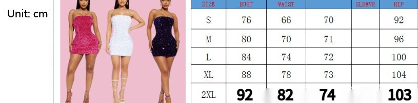 Women's Fashion Sexy Tube Top Hip Skirt