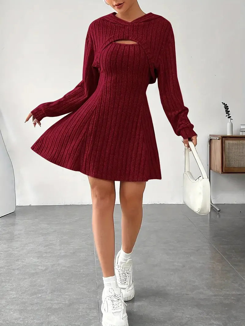 Women's Two-piece Set Dresses New Fashion Fall Winter Hooded Shawl Long-sleeved Vest Short Skirt