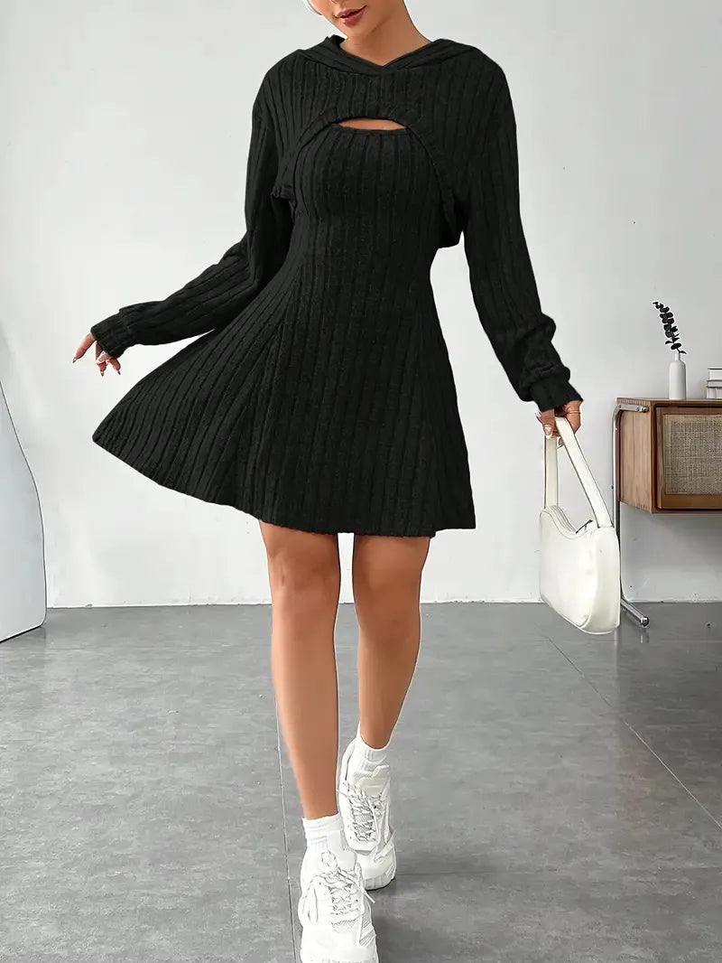 Women's Two-piece Set Dresses New Fashion Fall Winter Hooded Shawl Long-sleeved Vest Short Skirt