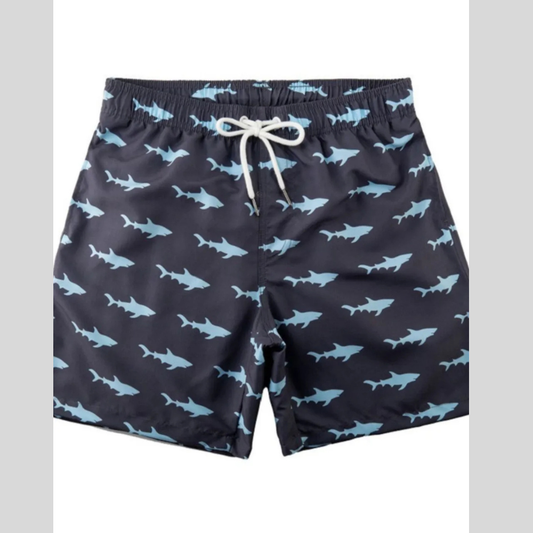 Men's Drawstring Printed Swim Shorts