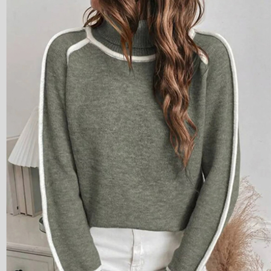 Full Size Contrast Trim Ribbed Hem Turtleneck Sweater Plus Size