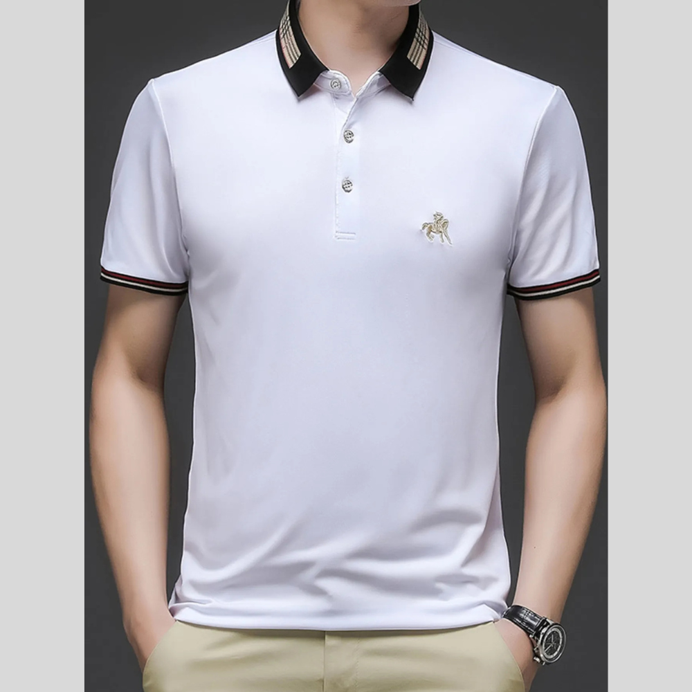 Men's Plus Size Contrast Collar Embroidered Detail Polo