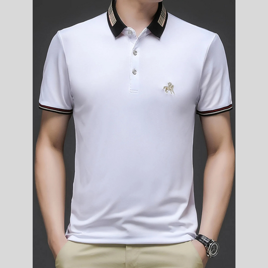 Men's Plus Size Contrast Collar Embroidered Detail Polo
