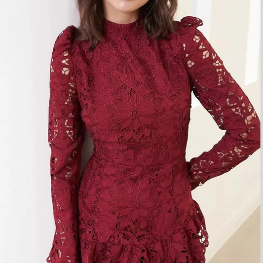 Lace Mock Neck Long Sleeve Mini Dress