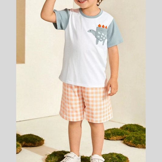 Children's Dinosaur Short Sleeve Tee and Shorts Set