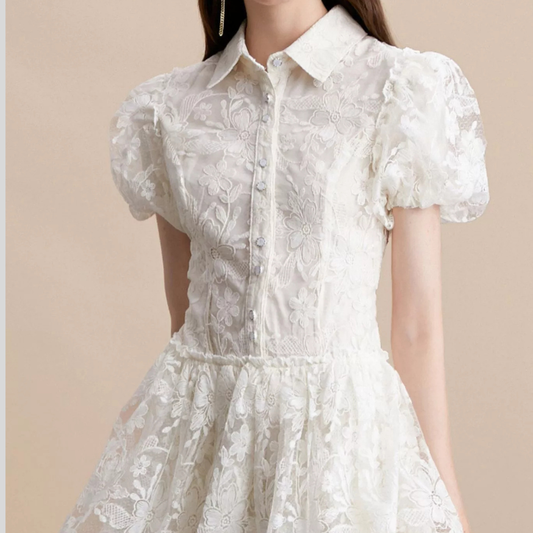 Lace Puff Sleeve Mini Dress