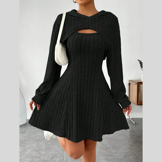 Women's Two-piece Set Dresses New Fashion Fall Winter Hooded Shawl Long-sleeved Vest Short Skirt
