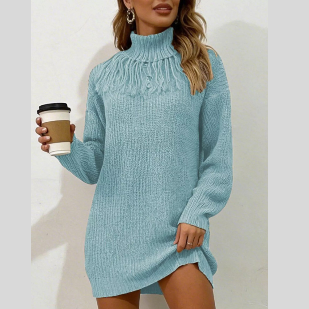 Full Size Turtleneck Fringe Detail Sweater Dress Plus Size