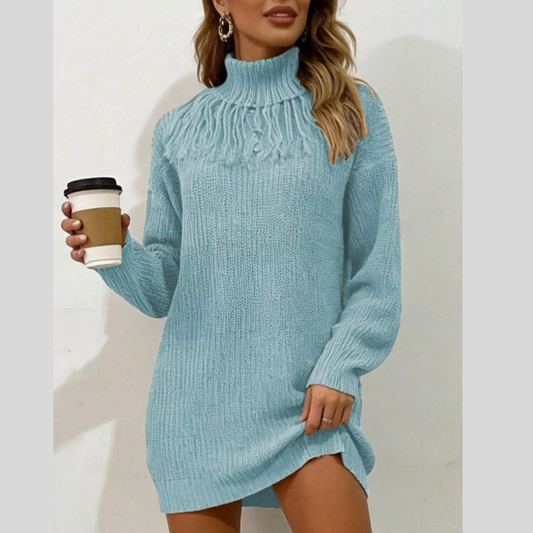 Full Size Turtleneck Fringe Detail Sweater Dress Plus Size