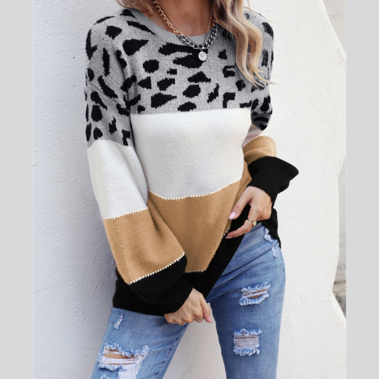 Angel Wings Color Block Round Neck Sweater