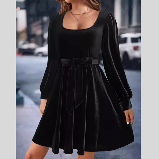 Velvet Long Sleeve A-Line Dress