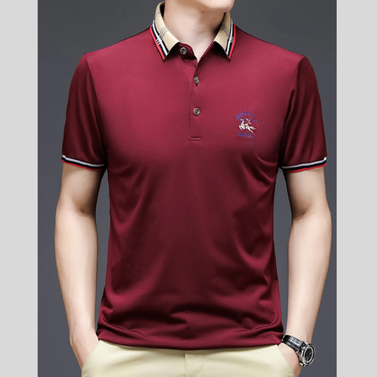 Men's Plus Size Striped Collar Short Sleeve Polo Shirt
