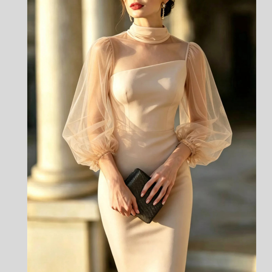 Mock Neck Sheer Puff Sleeve Bodycon Dress