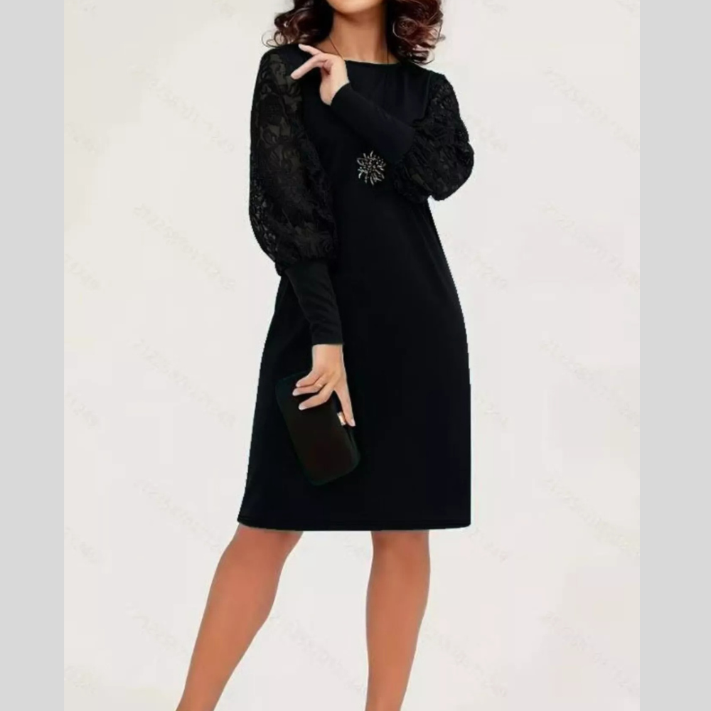 Lace Lantern Sleeve Dress