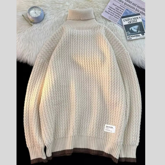 Men's Textured Knit Turtleneck Sweater
