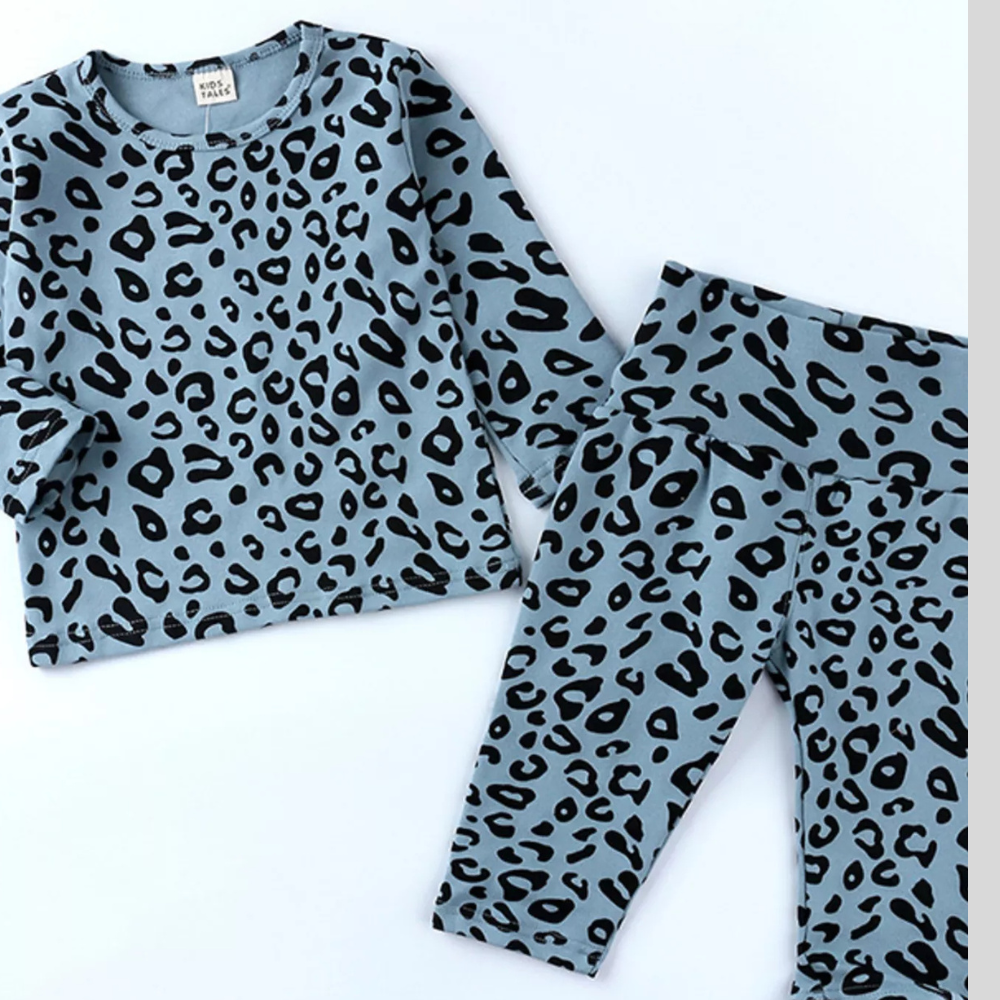 Children's Leopard Print Long Sleeve Top and Pants Set