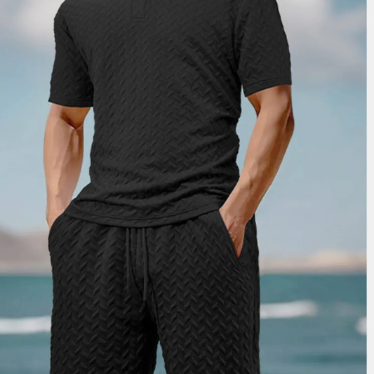 Men's Full Size Textured Polo Shirt and Shorts Set Plus Size