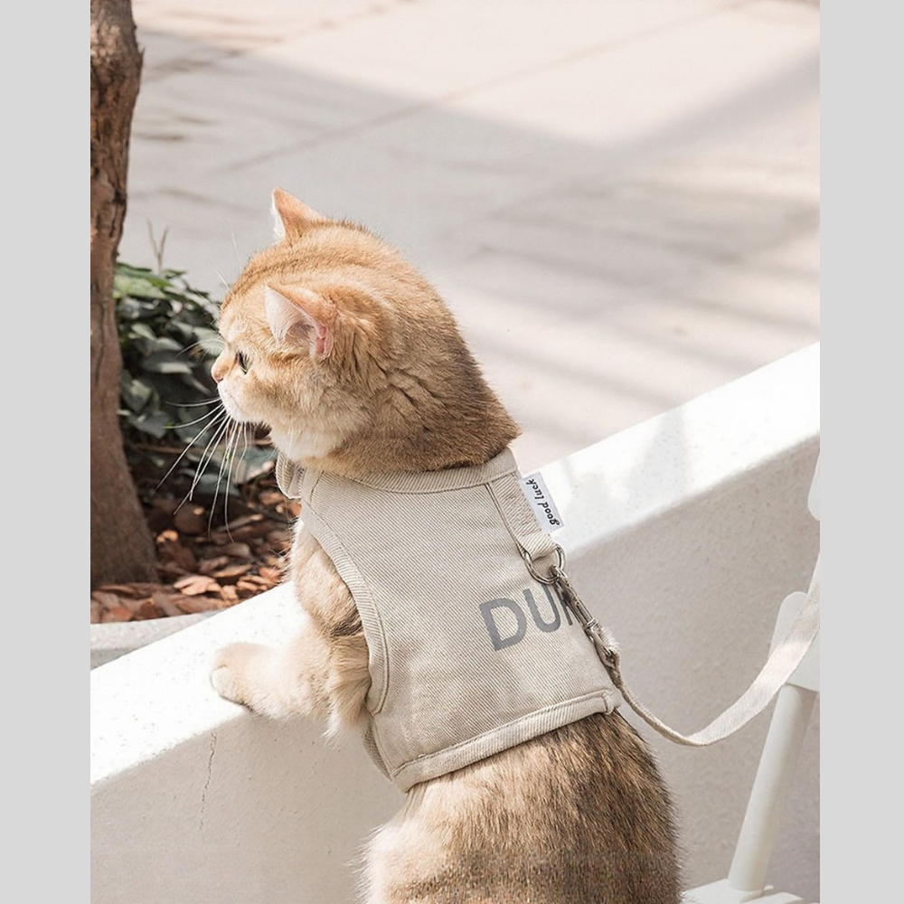 Breathable Pet Harness Leash Set