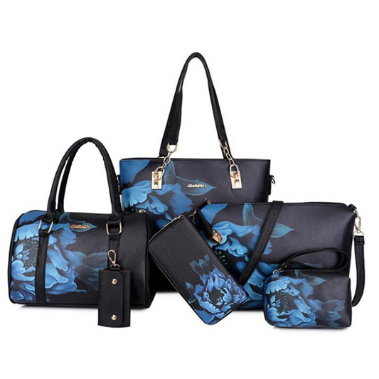 Six piece portable women's bag set