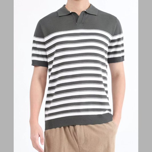 Men's Plus Size Striped Knit Short Sleeve Polo