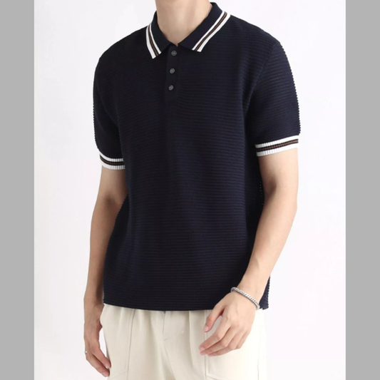 Men's Plus Size Striped Casual Short Sleeve Polo
