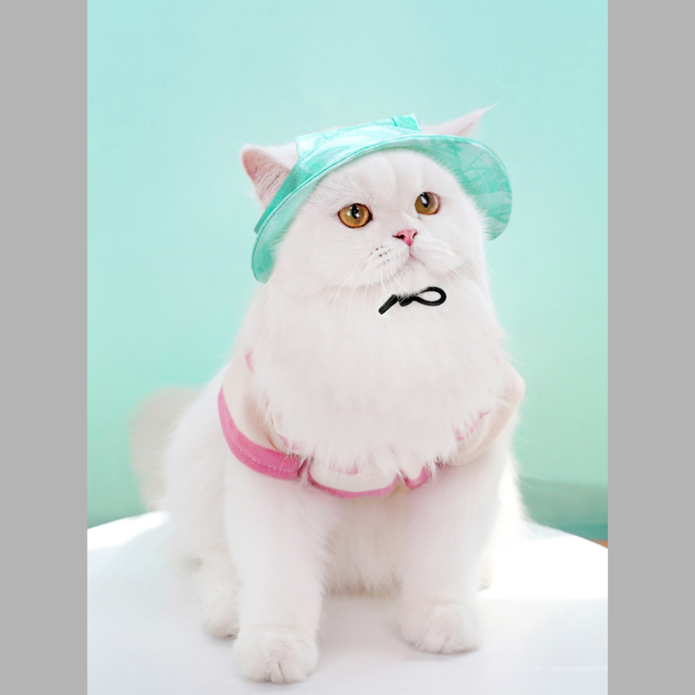 Adjustable Pet Visor Hat