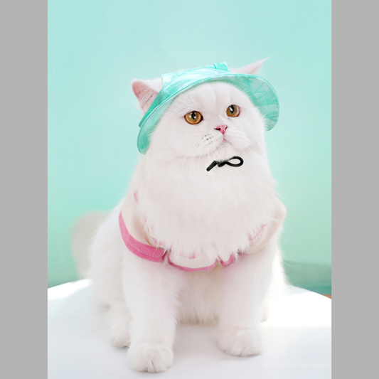 Adjustable Pet Visor Hat