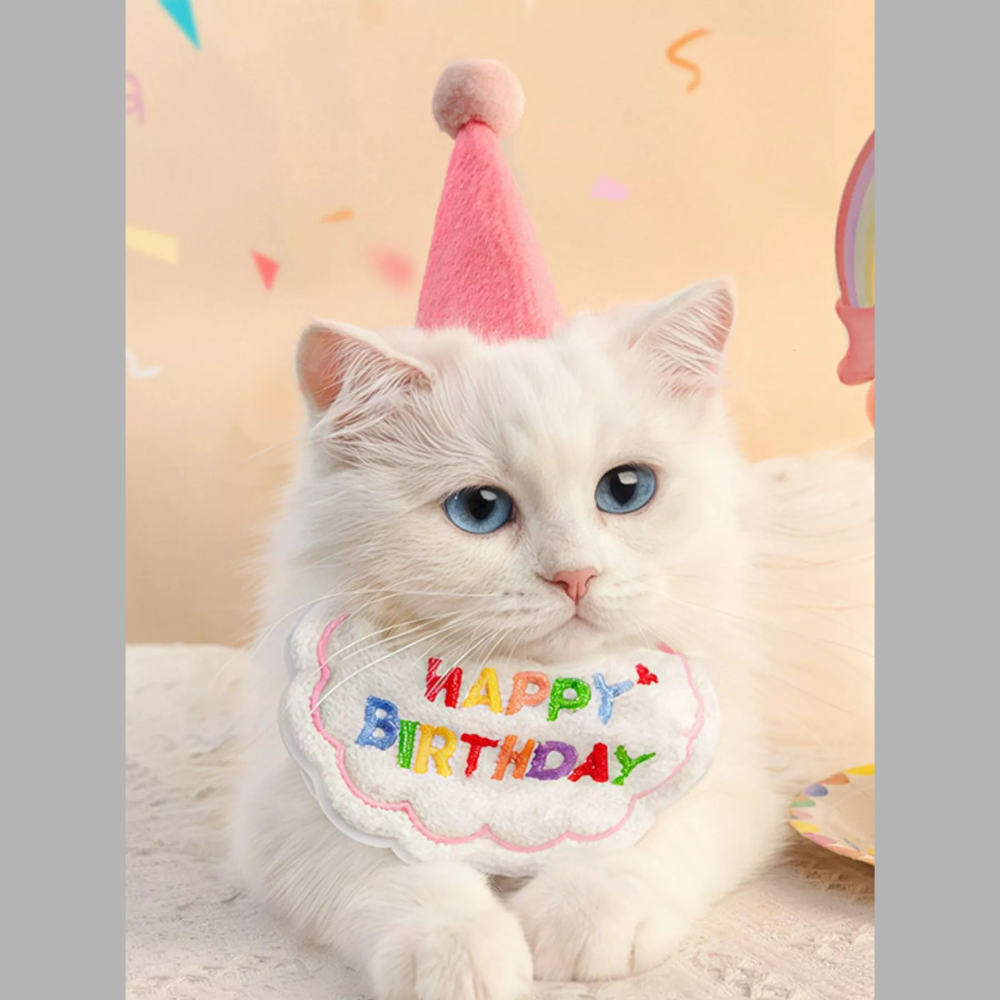 7 Piece Pet Birthday Hat & Scarf Set