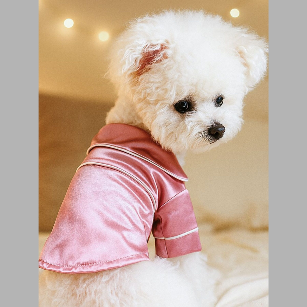 Satin Pet Pajamas with Contrast Piping