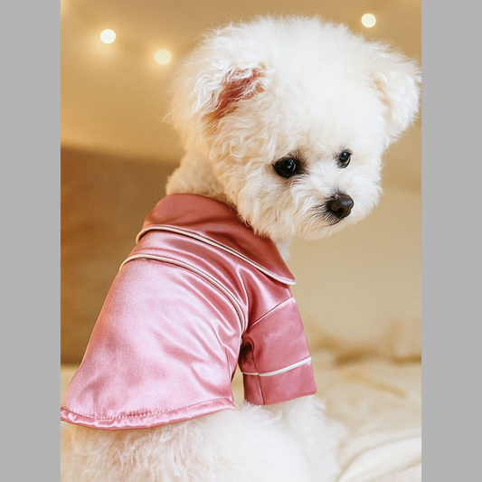 Satin Pet Pajamas with Contrast Piping