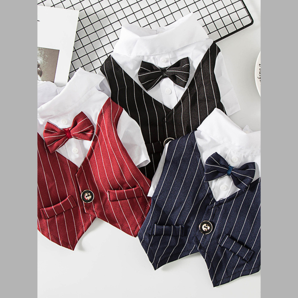 Striped Bow Tie Pet Blazer