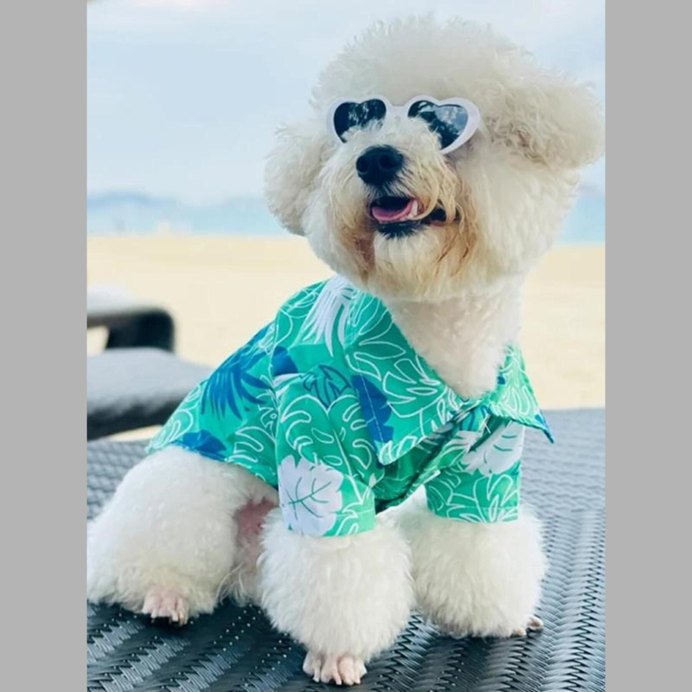 Lightweight Pet Top
