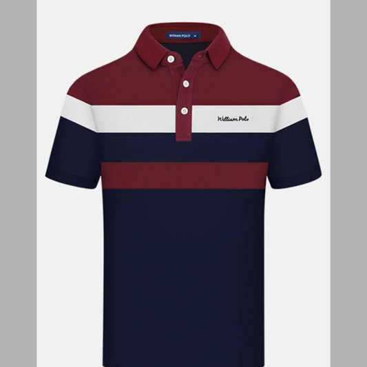 Men's Plus Size Color Block Striped Short Sleeve Polo