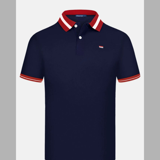 Casual Men's Plus Size Striped Collar Short Sleeve Polo