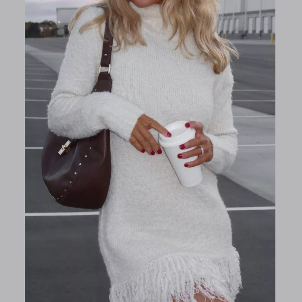 Fringe Turtleneck Long Sleeve Sweater Dress