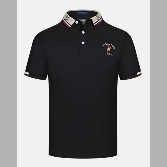 Men's Plus Size Striped Collared Short Sleeve Embroidered Polo