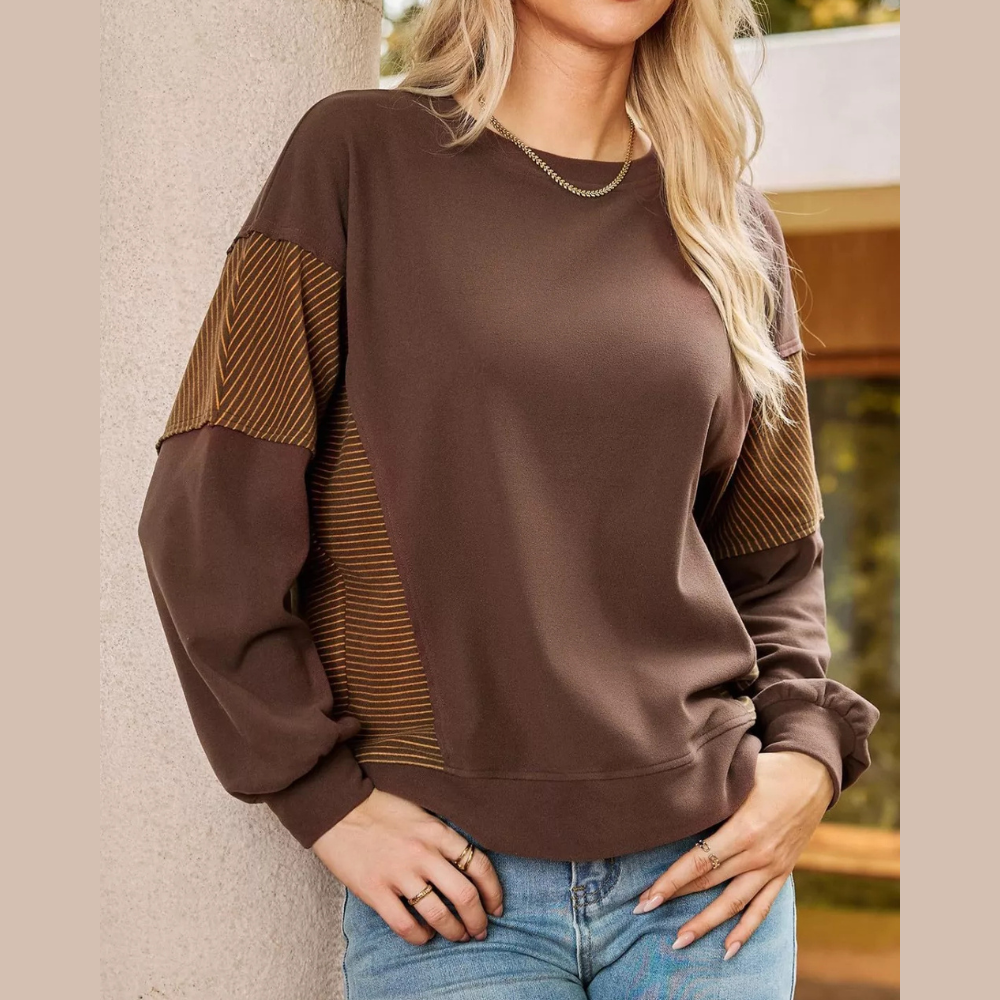 Color Block Striped Sleeve Casual Sweatshirt