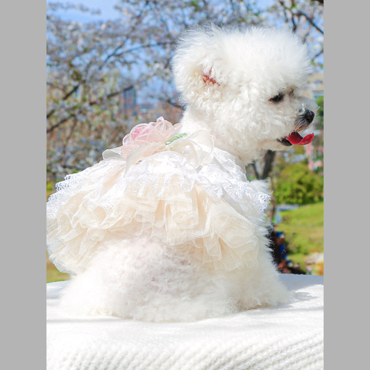Ruffled Lace Pet Dress