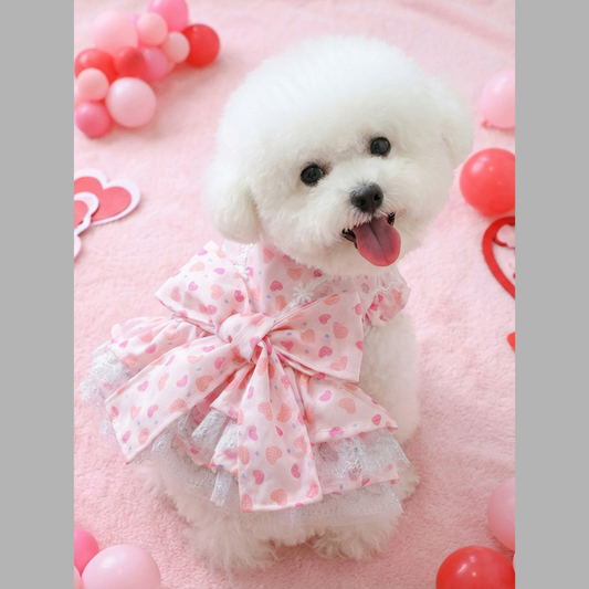 Bow Printed Pet Dress