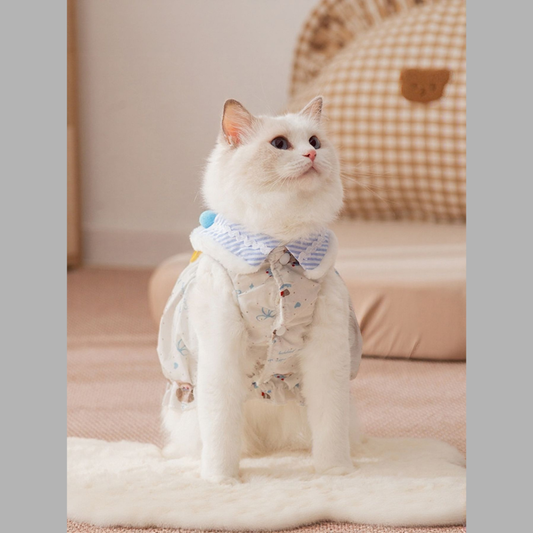 Bow Button Down Pet Dress