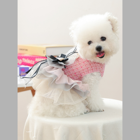 Tweed Pet Dress with Ruffle