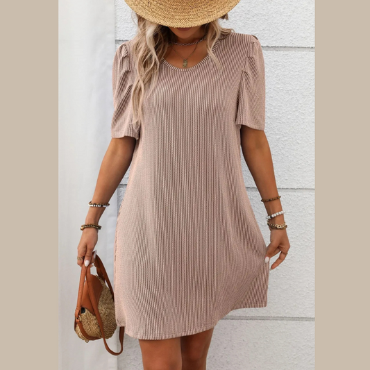 Textured Round Neck Short Sleeve Mini Dress