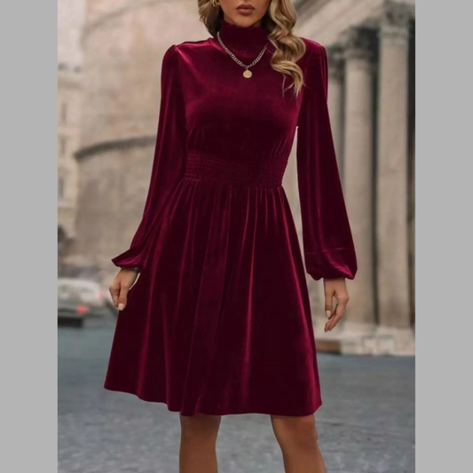 Velvet High Neck Long Sleeve A-Line Dress