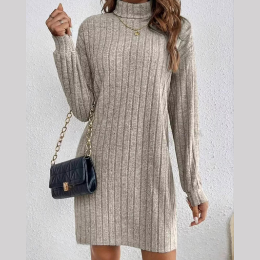 Ribbed Knit Turtleneck Mini Dress