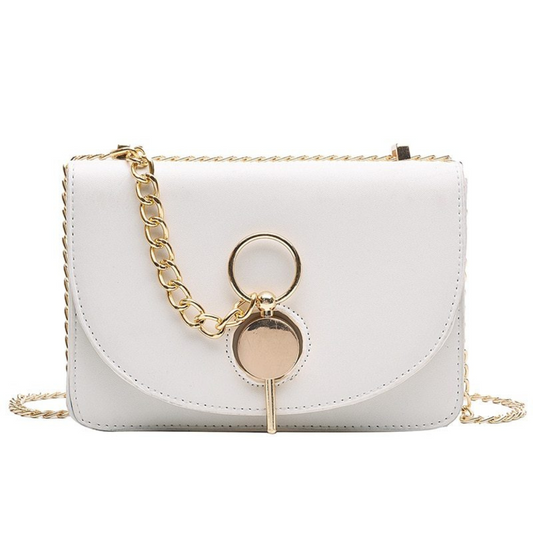 Stylish Compact Messenger Bag