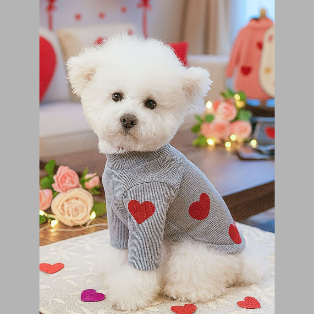 Heart Pattern Pet Sweater